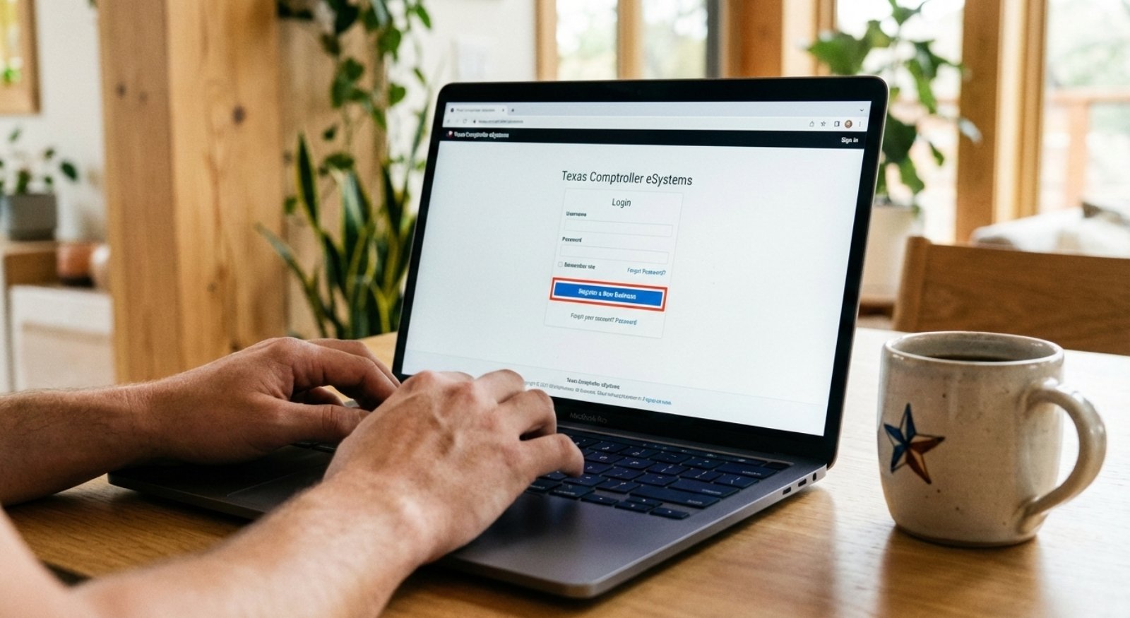 Texas Comptroller eSystems Login Page