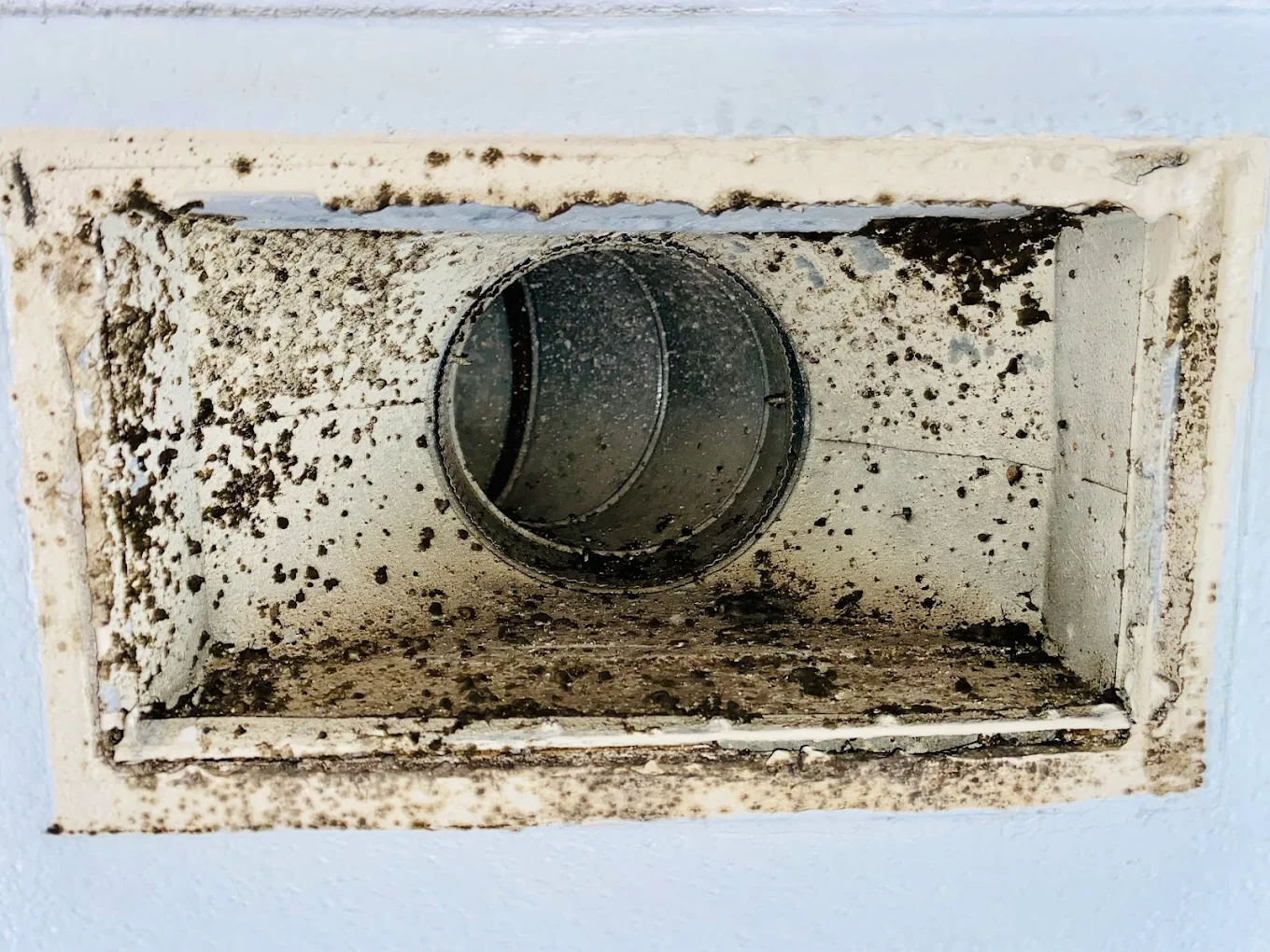 Andrew and Sons Air Duct Cleaning, LLC