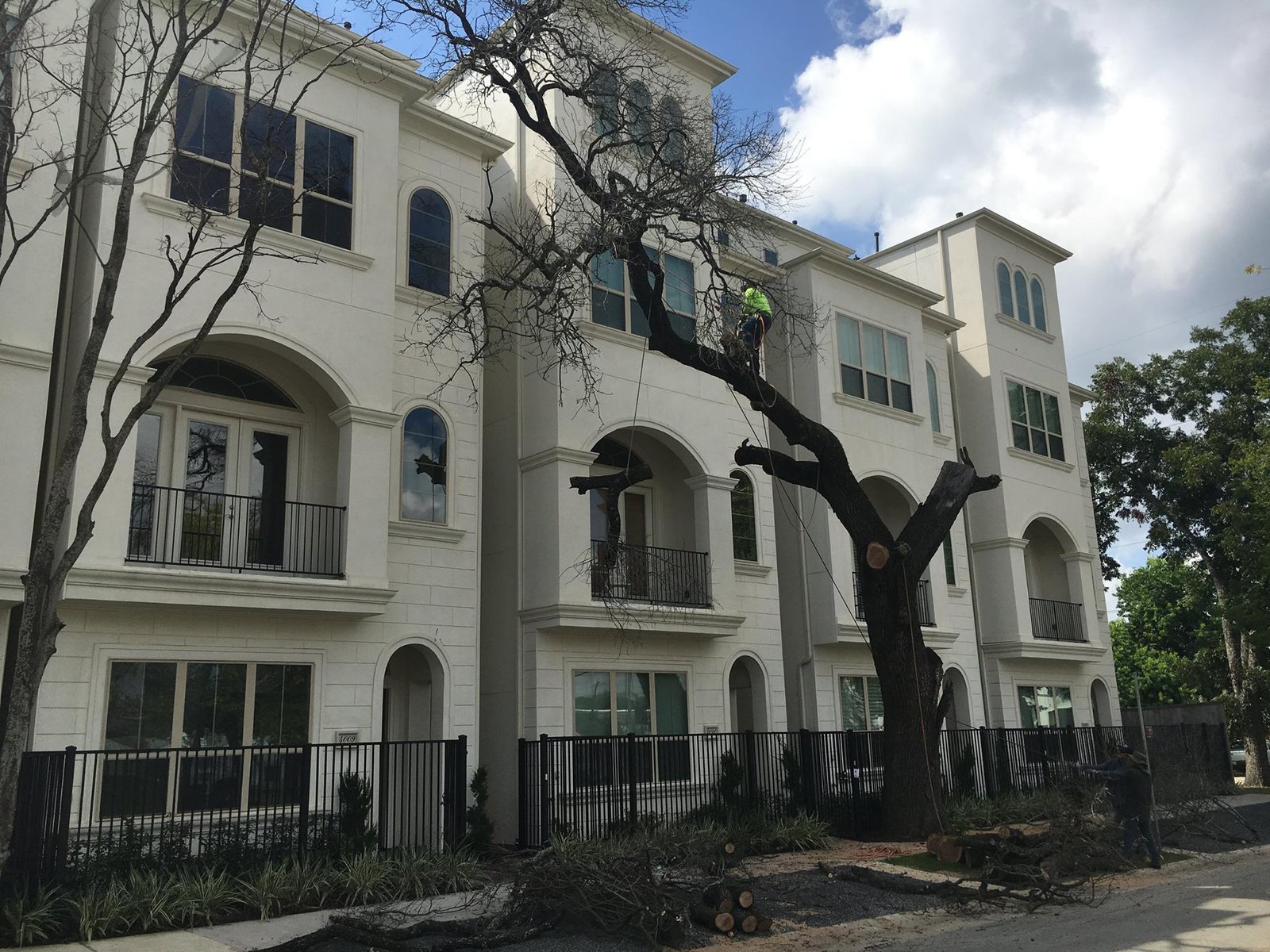 Houston, TX Tree Removal Services